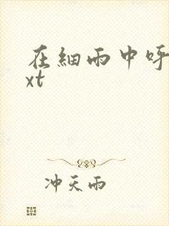 在细雨中呼喊txt