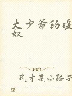 大少爷的暖床小奴封面