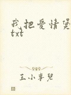 我把爱情煲成汤txt