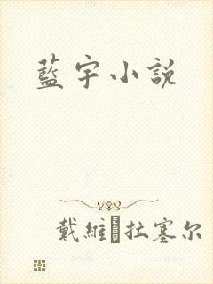 蓝宇小说