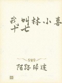 我叫林小喜今年十七封面