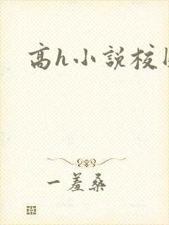 高h小说校园
