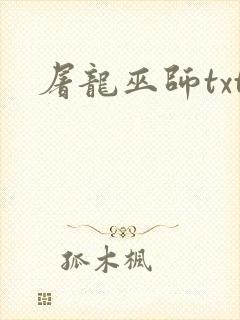 屠龙巫师txt