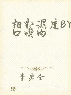 相对湿度BY大口吃肉