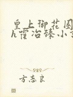 皇上御花园hlh霍冶臻小说