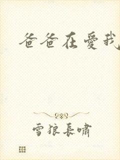 爸爸在爱我一次封面