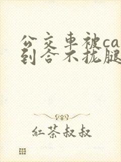 公交车被cao到合不拢腿app