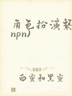 角色扮演系统(npn)