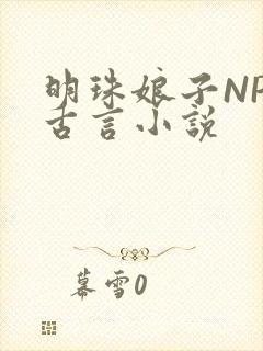 明珠娘子NPC古言小说