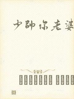 少帅你老婆