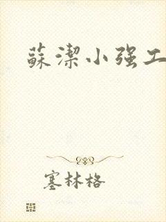 苏洁小强工地情