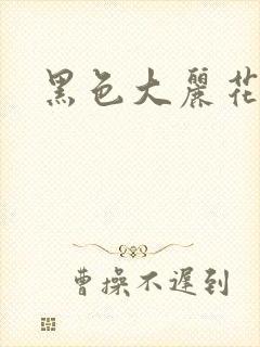 黑色大丽花图片