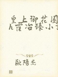 皇上御花园hlh霍冶臻小说封面