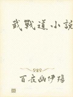 武战道小说