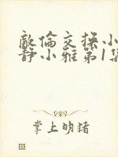 敌伦交换小敏小静小雅第1集封面