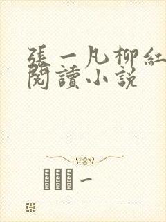 张一凡柳红免费阅读小说封面