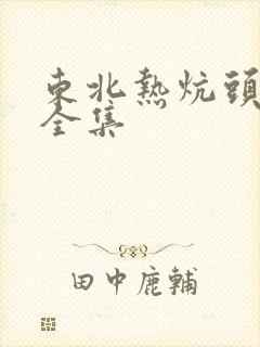 东北热炕头小说全集封面