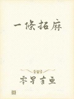 一条拓麻封面