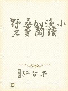 野桑by浅小说免费阅读封面