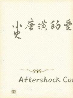 小唐璜的爱情历史