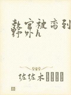 教官被脔到高潮野外h封面