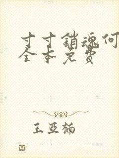 寸寸销魂何生祥全本免费