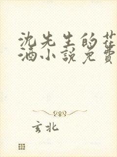 沈先生的花式调酒小说免费阅读封面