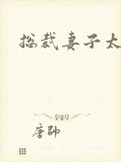 总裁妻子太诱人