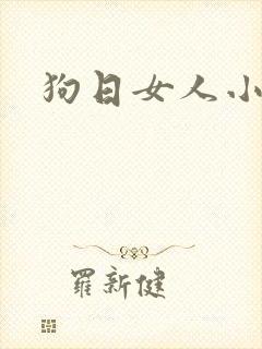 狗日女人小说封面
