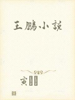 王鹏小说