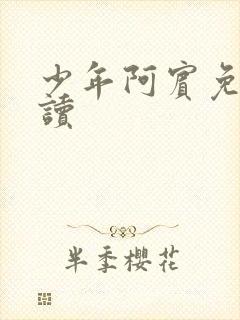 少年阿宾免费阅读