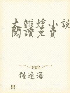 大杂烩小说全集阅读免费封面