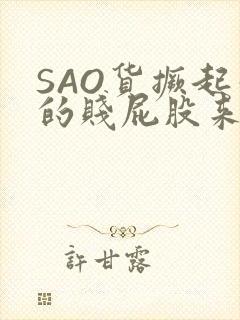 SAO货撅起你的贱屁股来