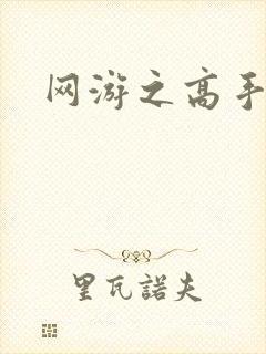网游之高手寂寞