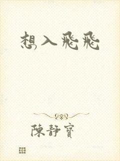 想入飞飞封面