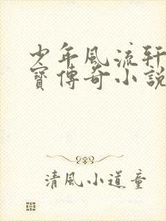 少年风流轩辕大宝传奇小说