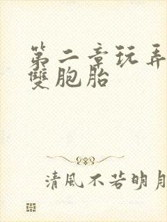 第二章玩弄少妇双胞胎封面