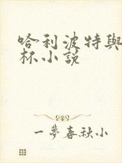 哈利波特与火焰杯小说封面