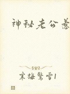 神秘老公惹不起