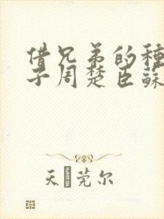 借兄弟的种生孩子周楚臣苏糖