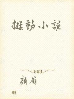 挺动小说