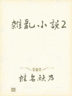 杂乱小说2
