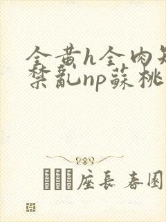 全黄h全肉短篇禁乱np苏桃封面