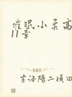 催眠小柔高达第11章封面