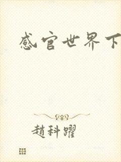 感官世界下载封面