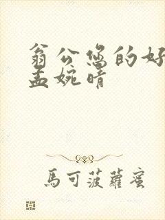 翁公您的好长呀孟婉晴封面