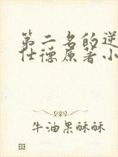 第二名的逆袭高仕德原著小说