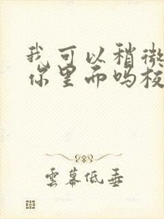 我可以稍微放进你里面吗校园版