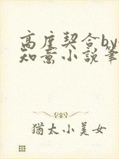 高度契合by洛知意小说笔趣阁无弹窗