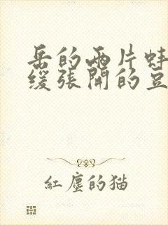 岳的两片蚌肉缓缓张开的豆瓣评分封面